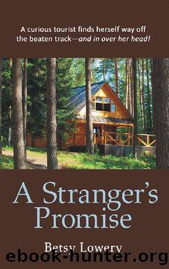 A Stranger's Promise by Betsy Lowery