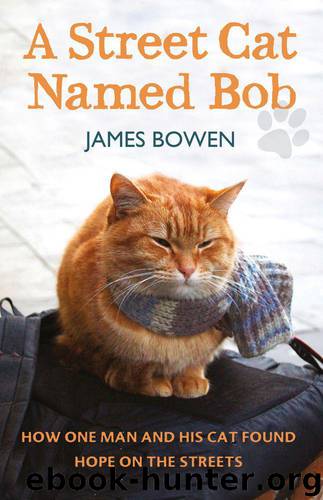 A Street Cat Named Bob by Bowen James