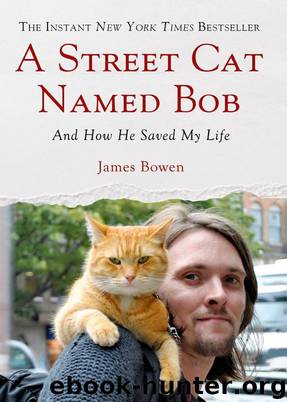 A Street Cat Named Bob: And How He Saved My Life by Bowen James