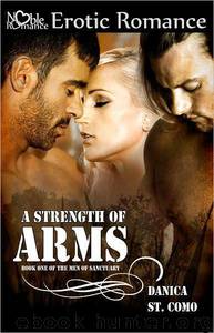 A Strength of Arms by Danica St. Como
