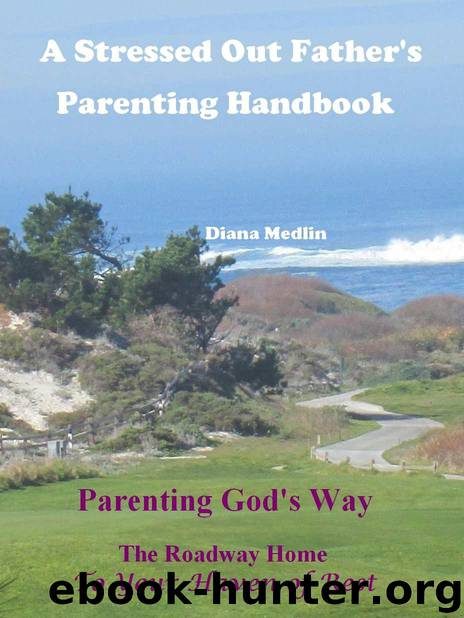 A Stressed out Father's Parenting Handbook by Medlin Diana