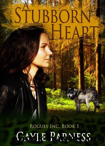 A Stubborn Heart by Gayle Parness