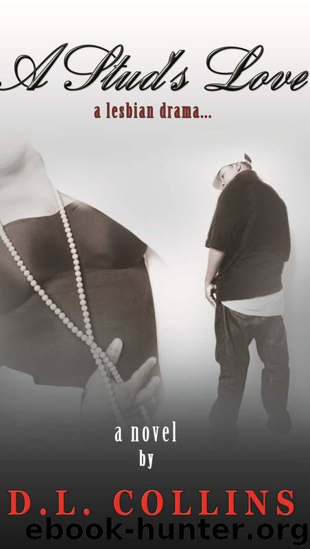 A Studs Love: A Lesbian Drama by D.l Collins