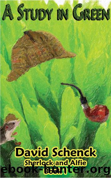 A Study in Green: Sherlock and Alfie, Book 1 by David Schenck