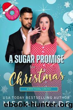 A Sugar Promise for Christmas: a BBW holiday collection by Megan Wade