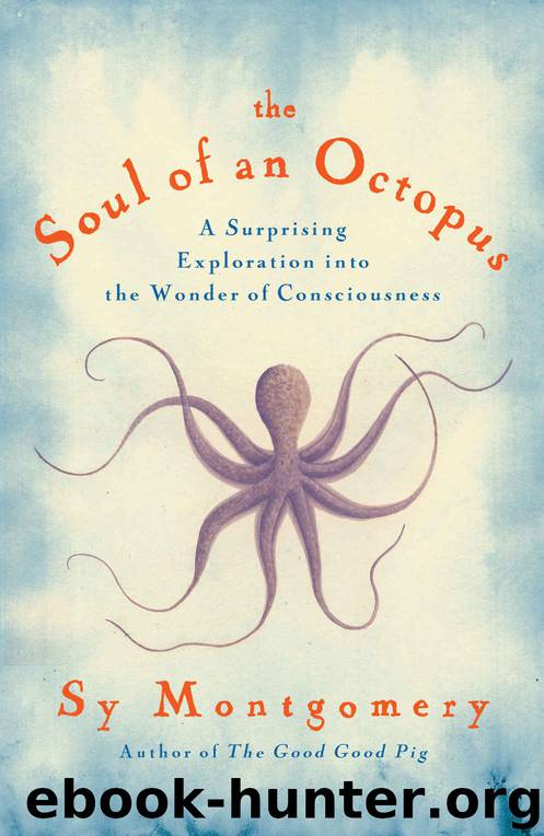 A Surprising Exploration Into the Wonder of Consciousness the Soul of an Octopus (Hardback) - Common by Sy Montgomery