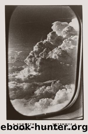 A Symmetry by Ari Banias