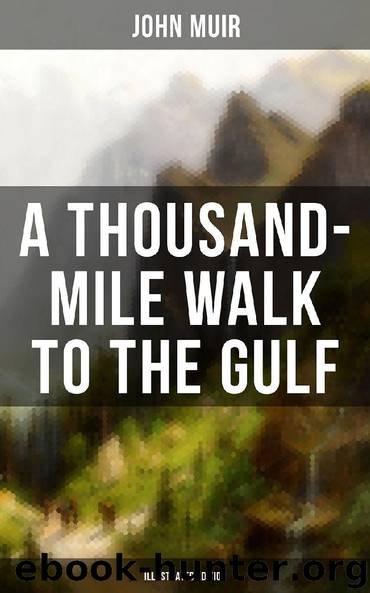 A THOUSAND-MILE WALK TO THE GULF (Illustrated Edition) by John Muir
