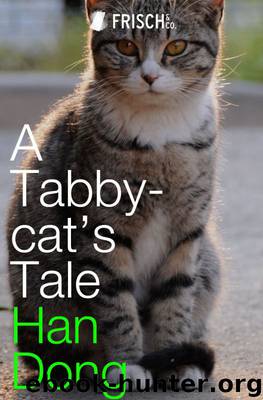 A Tabby-cat's Tale by Unknown