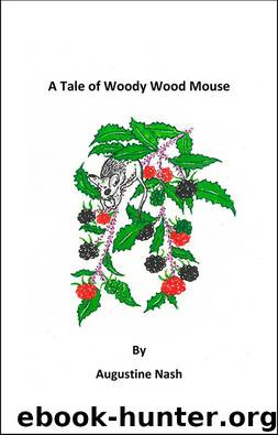 A Tale of Woody Wood-Mouse by Augustine Nash