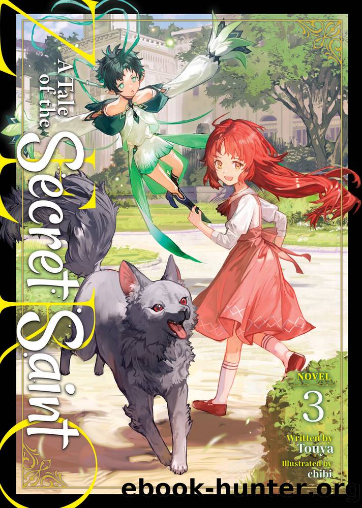 A Tale of the Secret Saint ZERO Vol. 3 by Touya