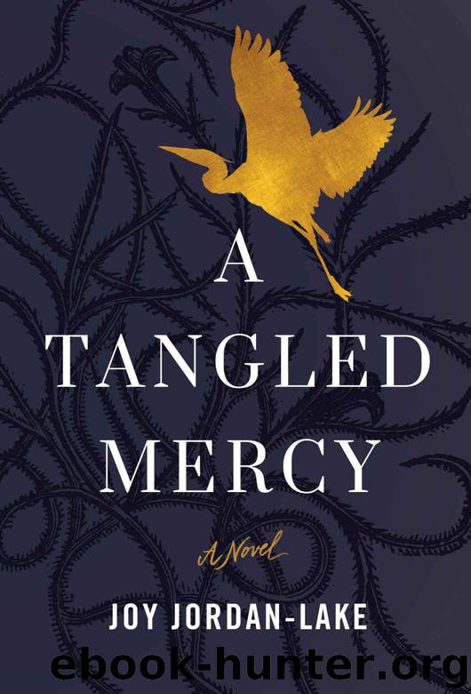 A Tangled Mercy: A Novel by Jordan-Lake Joy