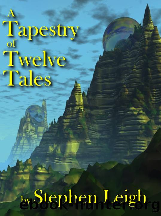 A Tapestry Of Twelve Tales by Stephen Leigh