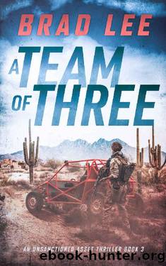 A Team of Three: An Unsanctioned Asset Thriller Book 3 (The Unsanctioned Asset Series) by Brad Lee
