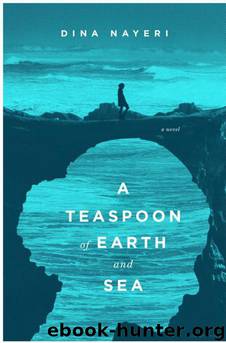 A Teaspoon of Earth and Sea by Nayeri Dina