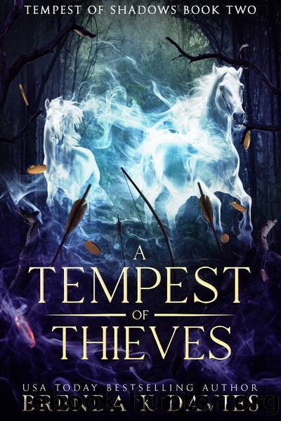 A Tempest of Thieves (Tempest of Shadows Book 2) by Brenda K. Davies