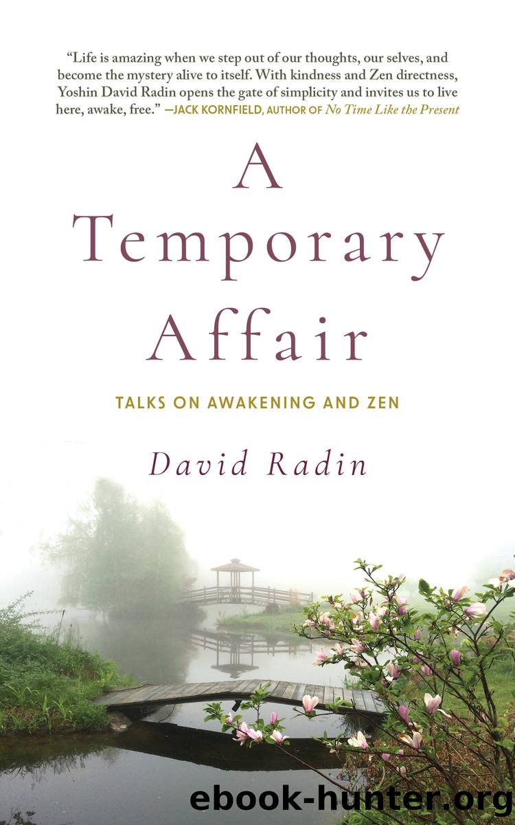 A Temporary Affair by David Radin