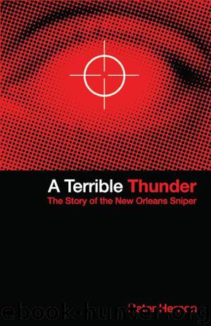 A Terrible Thunder by Peter Hernon