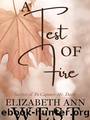 A Test of Fire : A Pride and Prejudice Variation Novella by elizabethann.west.7