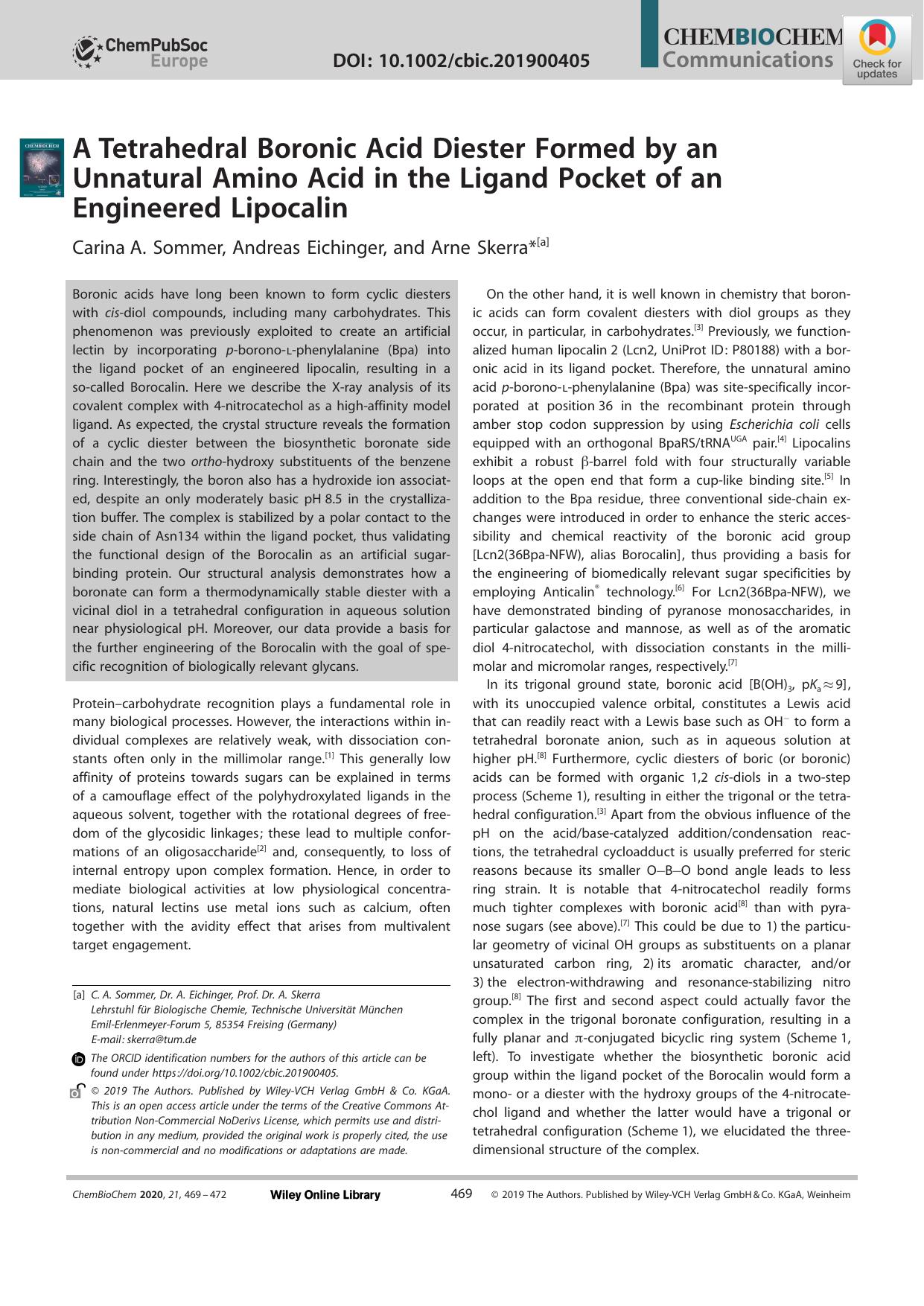 A Tetrahedral Boronic Acid Diester Formed by an Unnatural Amino Acid in the Ligand Pocket of an Engineered Lipocalin by Unknown
