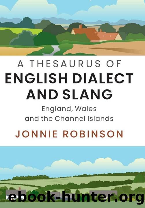 A Thesaurus of English Dialect and Slang: England, Wales and the Channel Islands by Jonnie Robinson