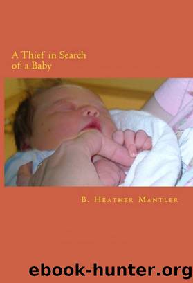 A Thief in Search of a Baby by B. Heather Mantler