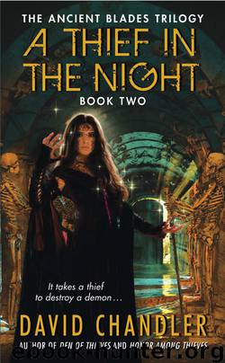A Thief in the Night by David Chandler