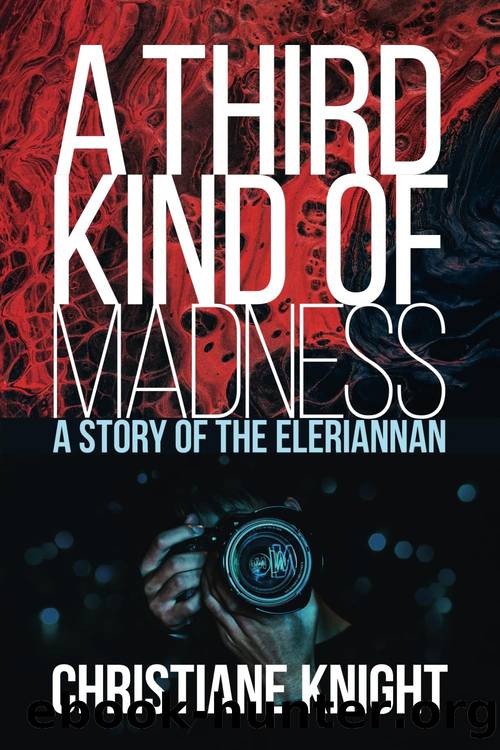 A Third Kind of Madness by Christiane Knight