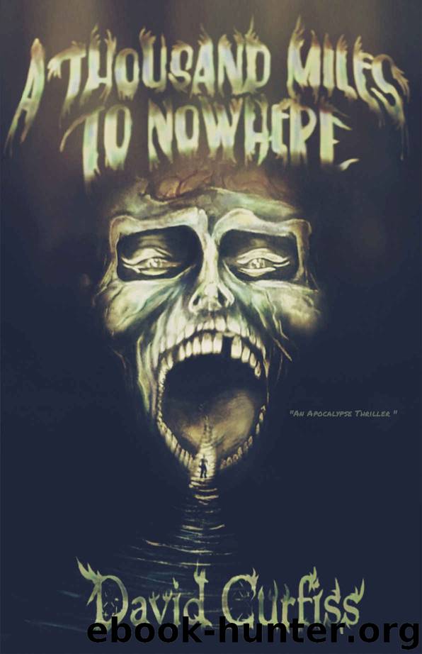 A Thousand Miles to Nowhere by David Curfiss