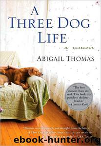 A Three Dog Life by Abigail Thomas