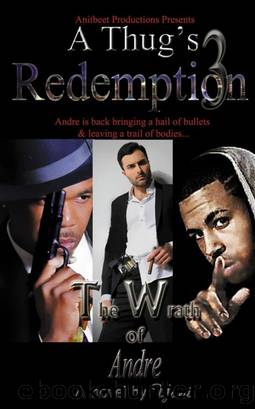 A Thug's Redemption 3 by Yani