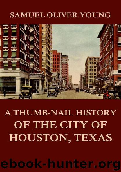 A Thumb-Nail History of the City of Houston, Texas kannt by Samuel Oliver Young