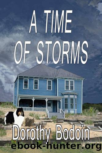 A Time Of Storms (The Foxglove Corners Series Book 8) by Dorothy Bodoin