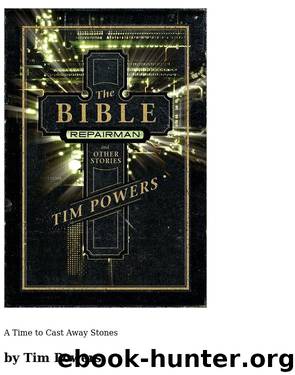 A Time to Cast Away Stones by Tim Powers