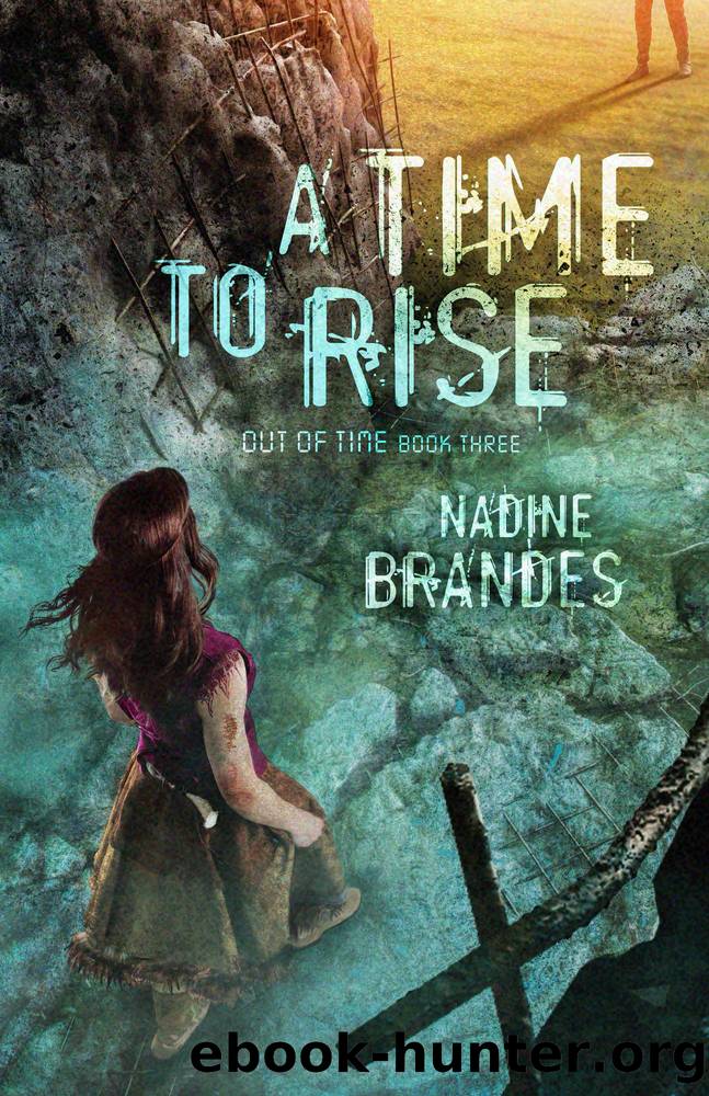 A Time to Rise by Nadine Brandes