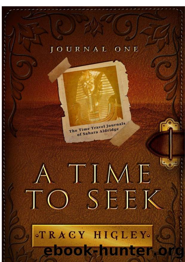 A Time to Seek by Tracy Higley