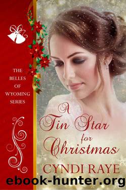 A Tin Star for Christmas by Cyndi Raye