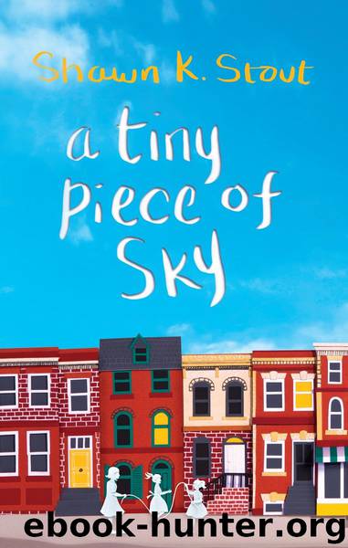 A Tiny Piece of Sky by Shawn K. Stout
