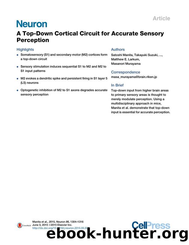 A Top-Down Cortical Circuit for Accurate Sensory Perception by unknow