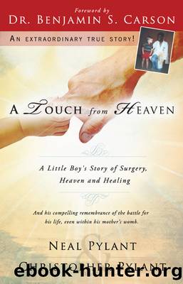 A Touch from Heaven by Neal Pylant