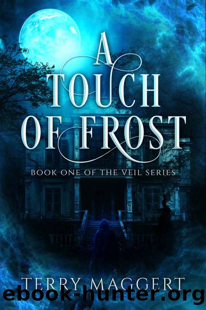 A Touch of Frost (The Veil Book 1) by Terry Maggert