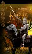 A Tournament Knight by A Tournament Knight