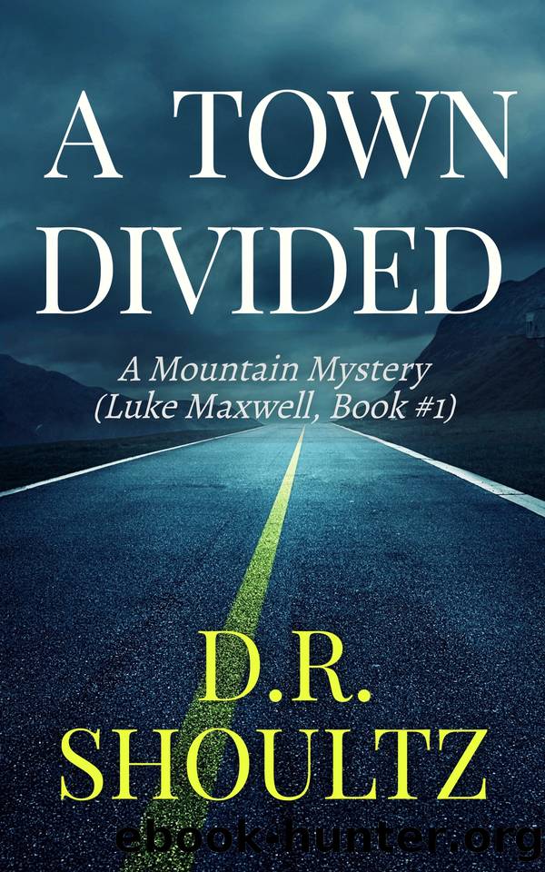 A Town Divided (A Mountain Mystery) by Shoultz D.R