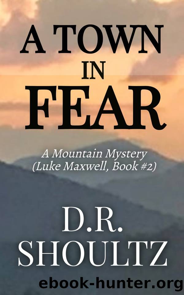 A Town in Fear (A Mountain Mystery) by Shoultz D.R