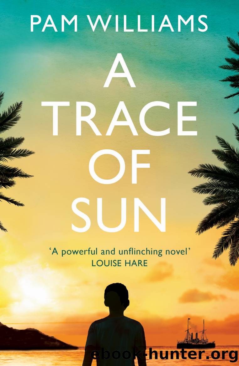 A Trace of Sun by Pam Williams