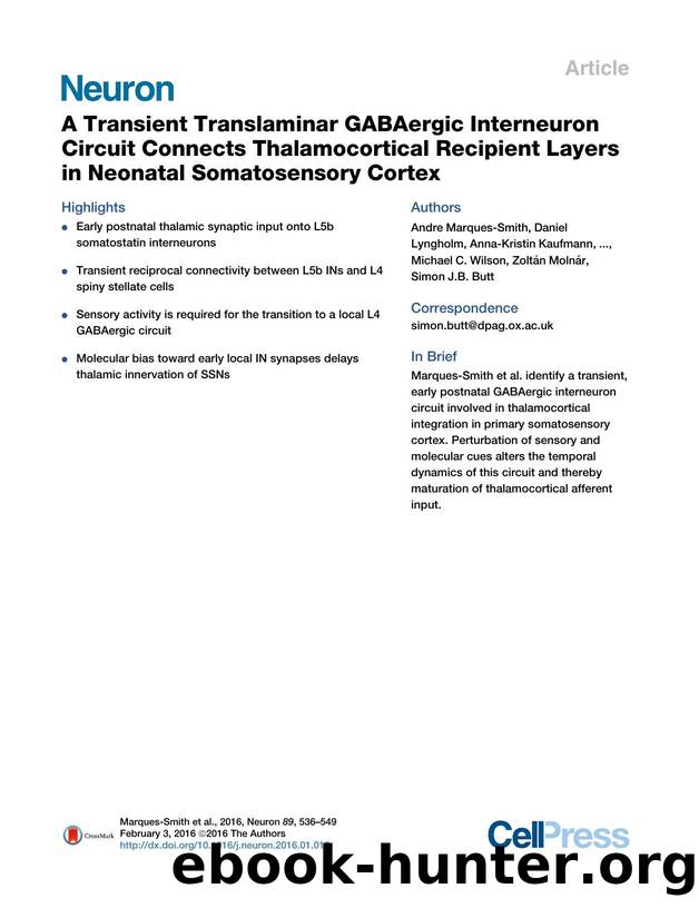 A Transient Translaminar GABAergic Interneuron Circuit Connects Thalamocortical Recipient Layers in Neonatal Somatosensory Cortex by unknow
