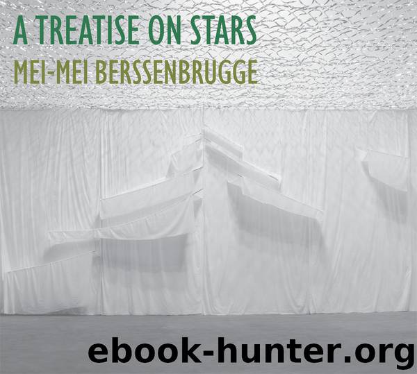 A Treatise on Stars by Mei-mei Berssenbrugge