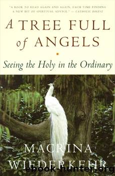 A Tree Full of Angels by Macrina Wiederkehr