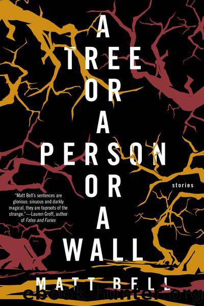 A Tree or a Person or a Wall by Matt Bell
