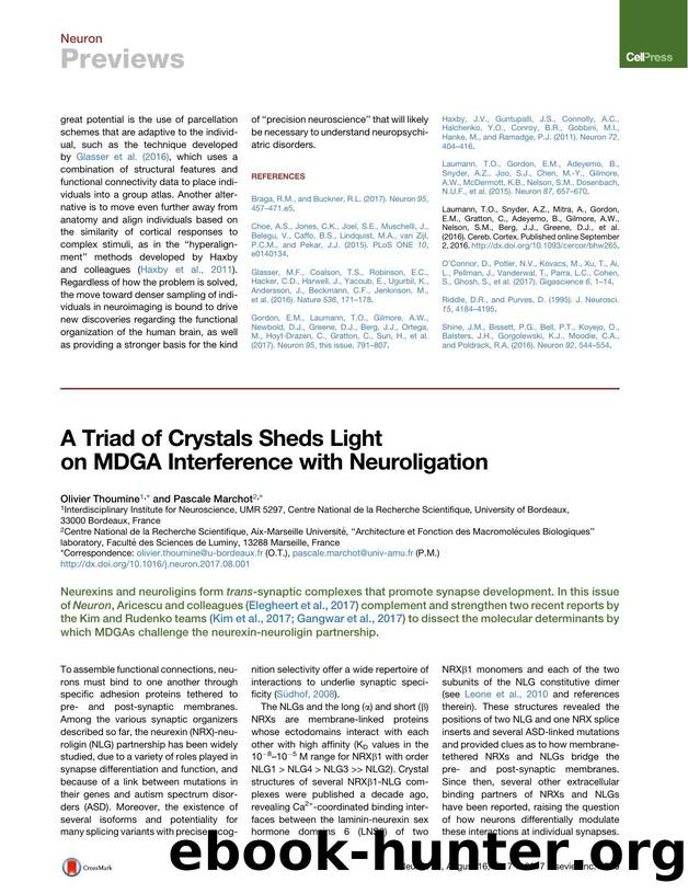 A Triad of Crystals Sheds Light on MDGA Interference with Neuroligation by Olivier Thoumine & Pascale Marchot
